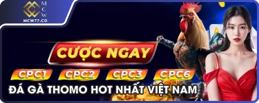 Cược Ngay CPC1 CPC2 CPC3 CPC6 - Đá Gà Thomo Hot Nhất Việt Nam