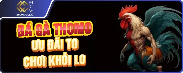 Đá Gà Thomo - Ưu Đãi To - Chơi Khỏi Lo