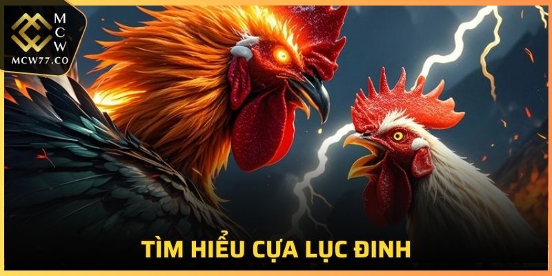 Tìm hiểu cựa lục đinh